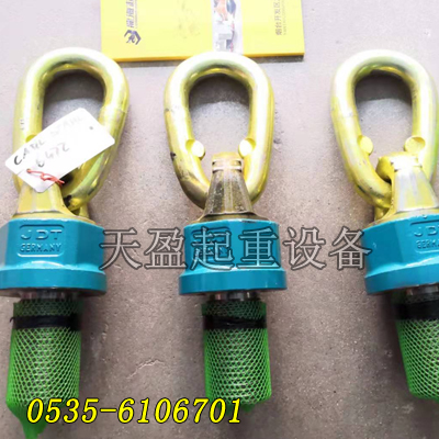 TP6.7德國JDT旋轉(zhuǎn)吊環(huán)M30x35,機(jī)械廠用旋轉(zhuǎn)吊環(huán)