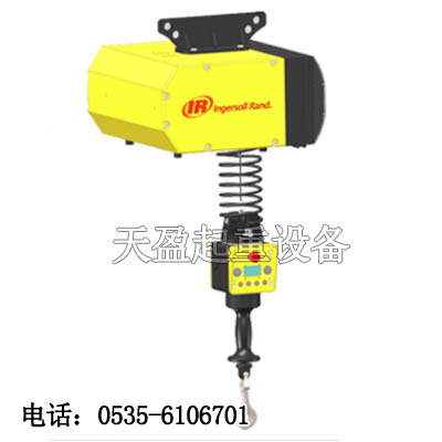 智能電動(dòng)葫蘆原裝進(jìn)口,EIW132120智能電動(dòng)葫蘆現(xiàn)貨