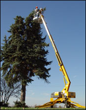 美國(guó)比艾爾-杰西(BIL-JAX)3632T Telescopic Boom Lift