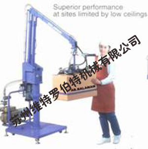 蘇州維特羅伯特:裝箱堆垛機(jī)械手 TDG-50