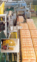 德國(guó)伯曼(beumer)碼垛技術(shù)